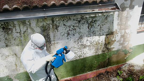 Trusted Mold Testing service in Broad Run, VA - Cheap Mold Removal